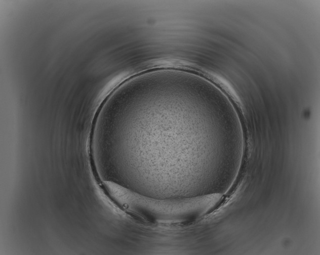 X0000094770946200711241314