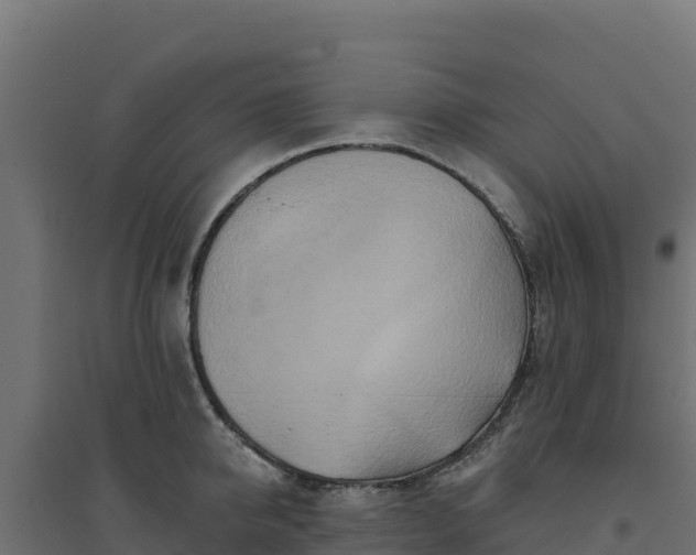 X0000094770950200711241314