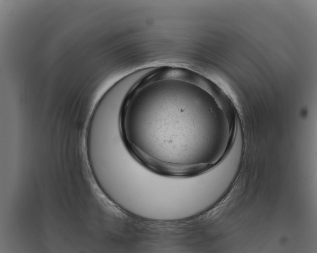 X0000094770952200711241314