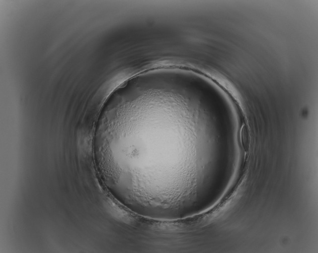 X0000094770953200711241314