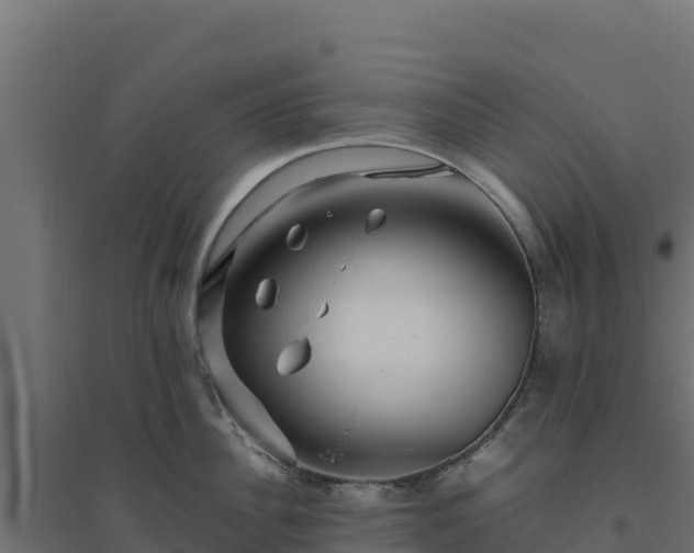 X0000094770956200711241314