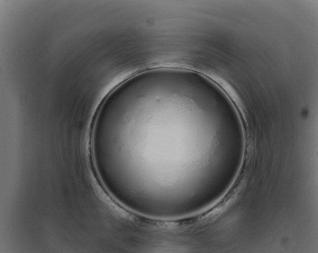 X0000094770957200711241314