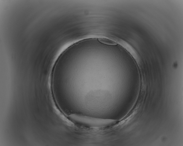 X0000094770958200711241314