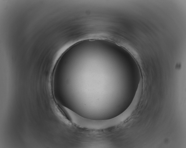 X0000094770960200711241314