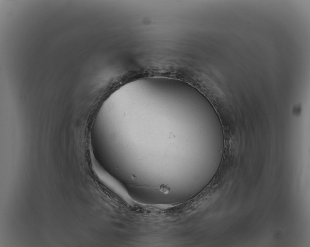 X0000094770961200711241313