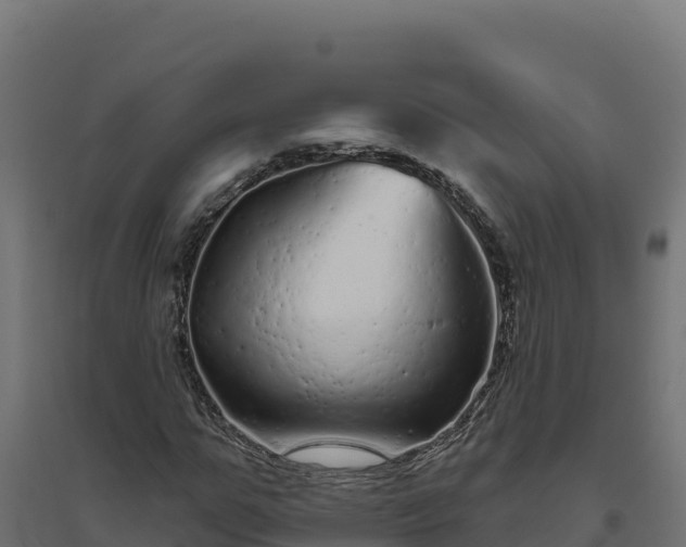 X0000094770967200711241313