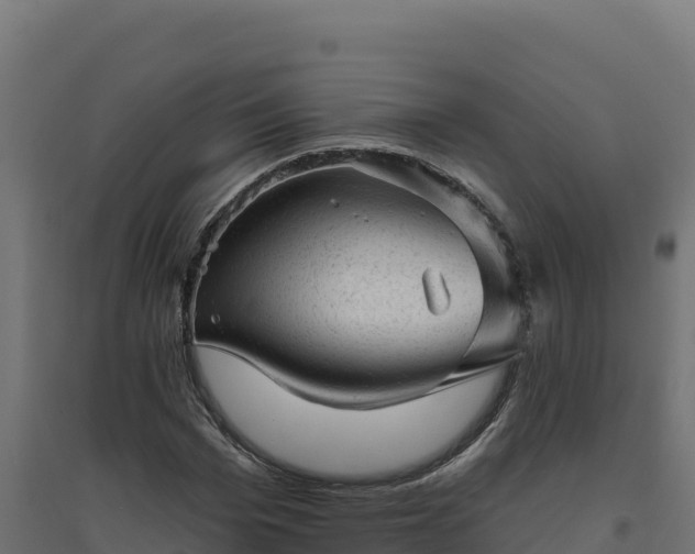 X0000094770969200711241313