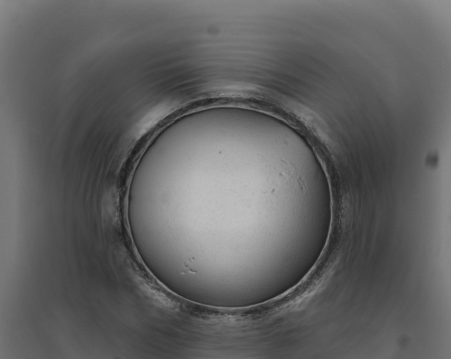 X0000094770970200711241313