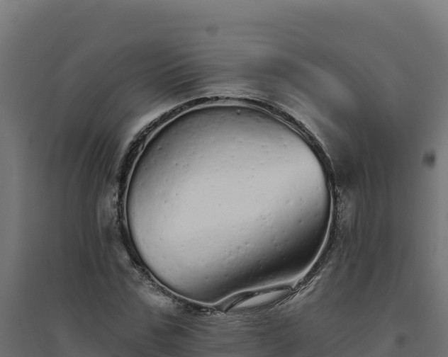 X0000094770971200711241313