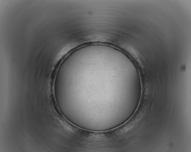 X0000094770978200711241313