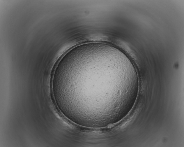 X0000094770986200711241313