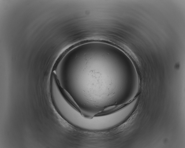 X0000094770988200711241313