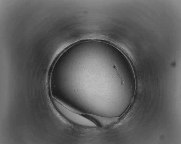 X0000094770990200711241313