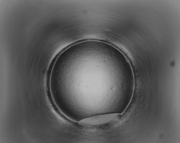 X0000094770991200711241313