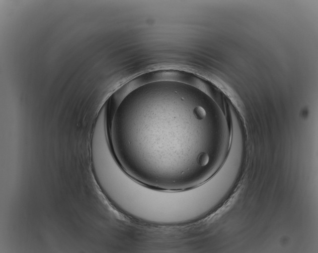 X0000094770993200711241313