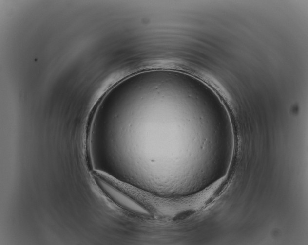 X0000094770994200711241313