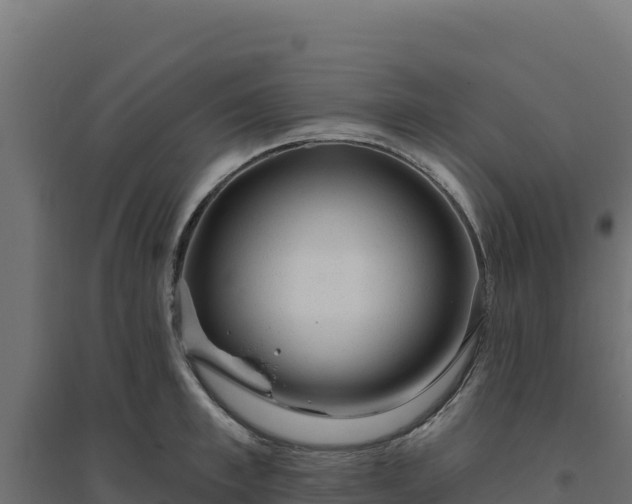 X0000094770997200711241313