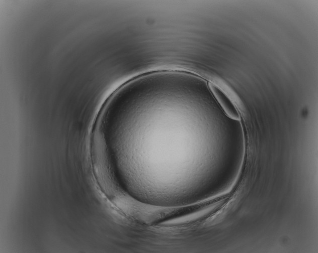 X0000094771004200711241313