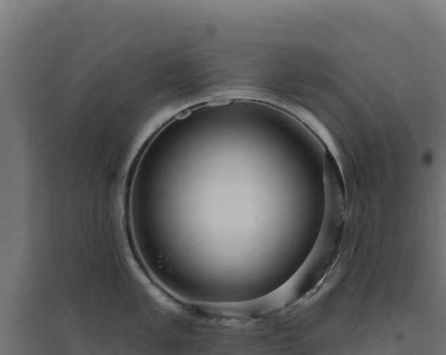 X0000094771005200711241313