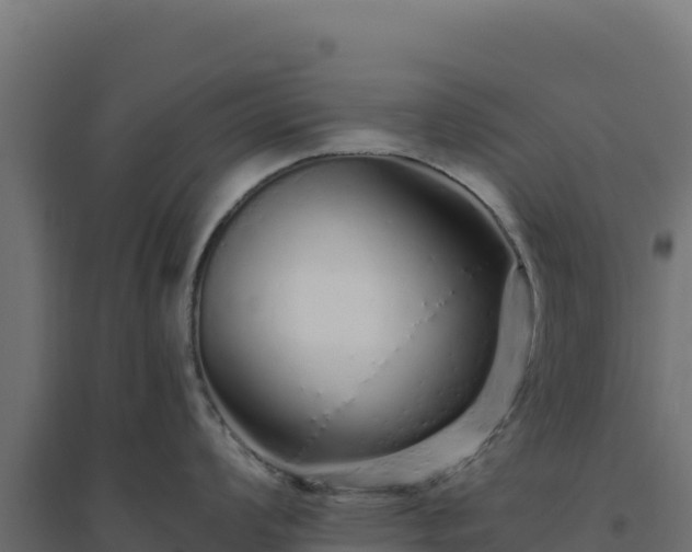 X0000094771008200711241313