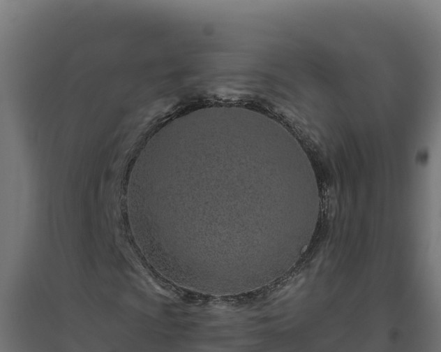 X0000094771009200711241312