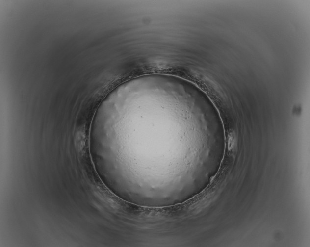 X0000094771011200711241312