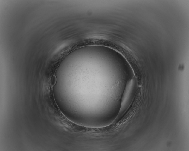 X0000094771014200711241312