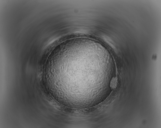 X0000094771015200711241312