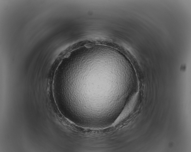 X0000094771016200711241312