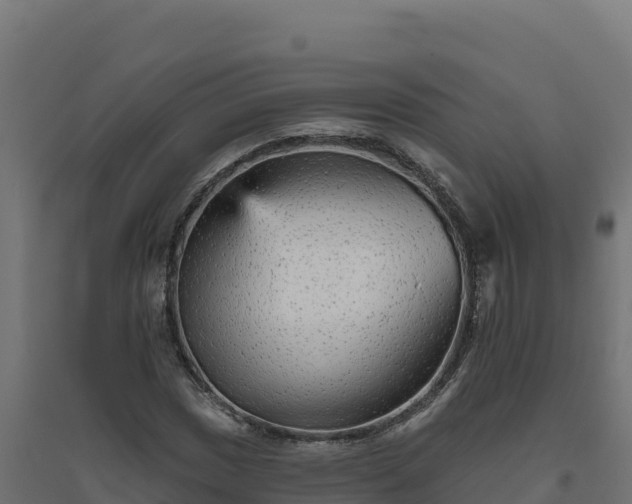 X0000094771017200711241312