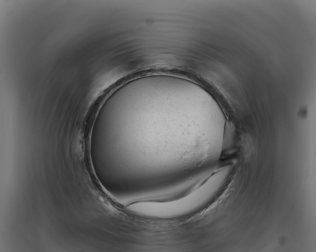 X0000094771018200711241312