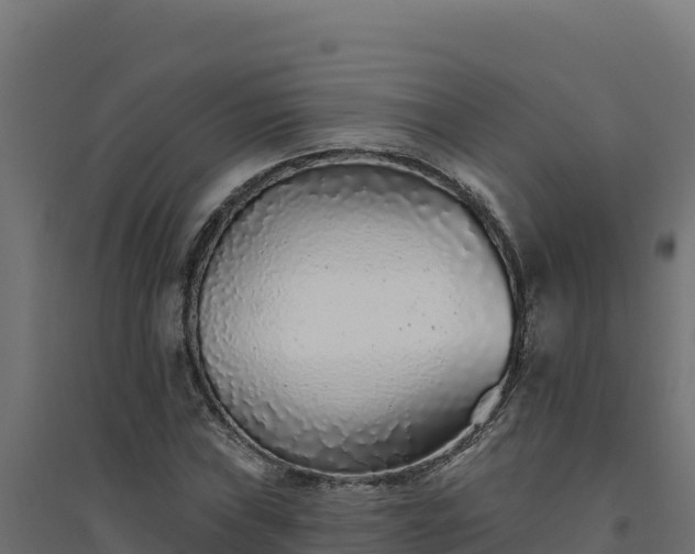 X0000094771019200711241312