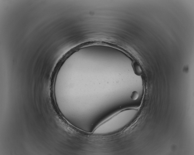 X0000094771020200711241312