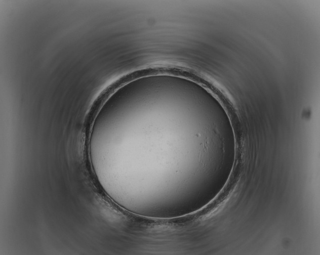 X0000094771021200711241312