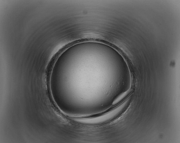 X0000094771022200711241312