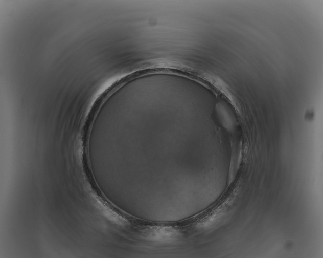 X0000094771024200711241312