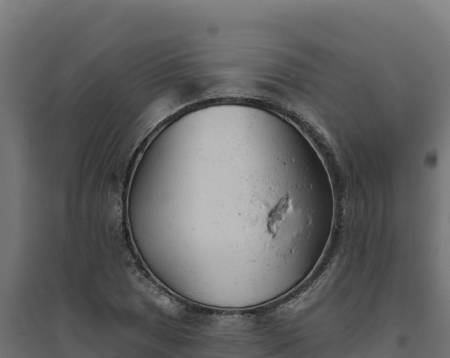 X0000094771025200711241312