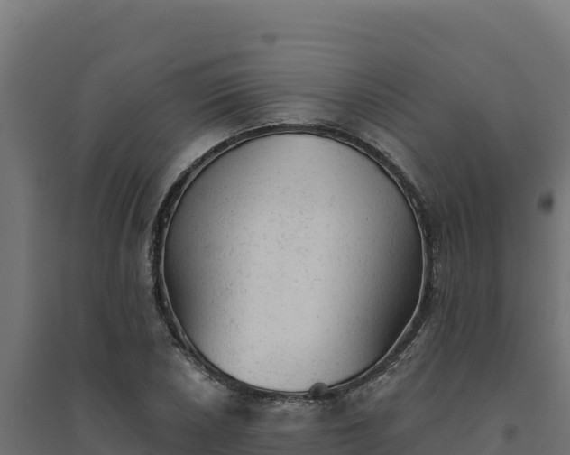 X0000094771026200711241312