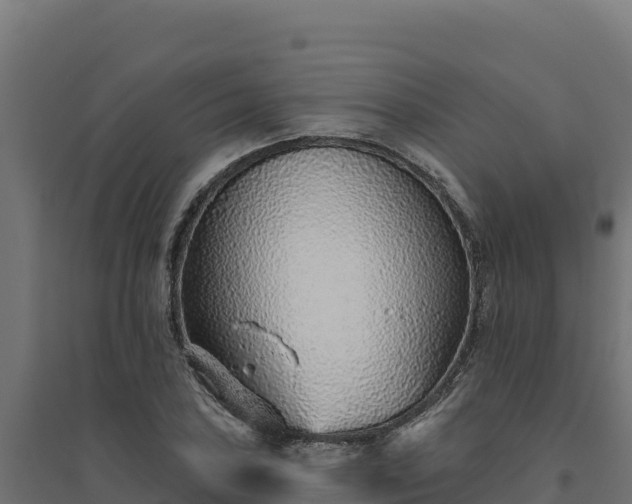 X0000094771027200711241312