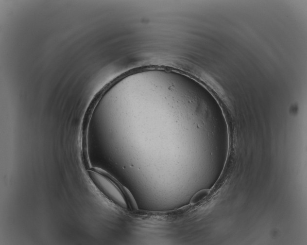 X0000094771028200711241312