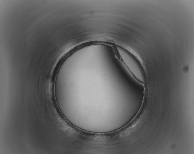 X0000094771029200711241312