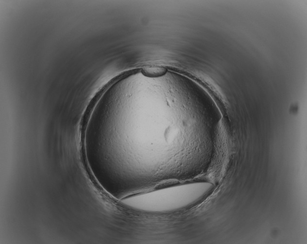 X0000094771031200711241312