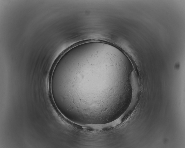 X0000094771032200711241312