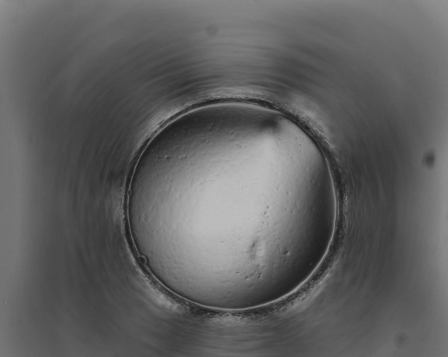 X0000094771033200711241312