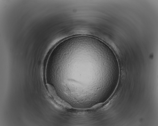 X0000094771035200711241312