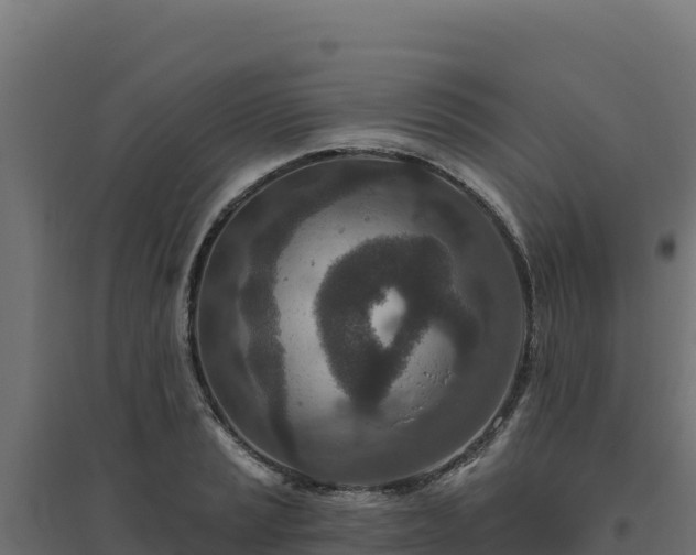 X0000094771037200711241312