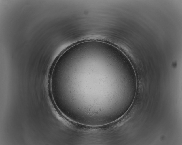 X0000094771038200711241312