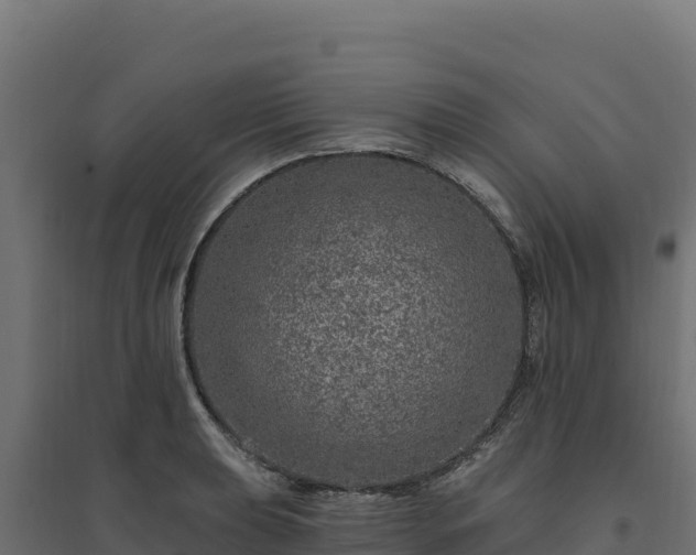 X0000094771039200711241312