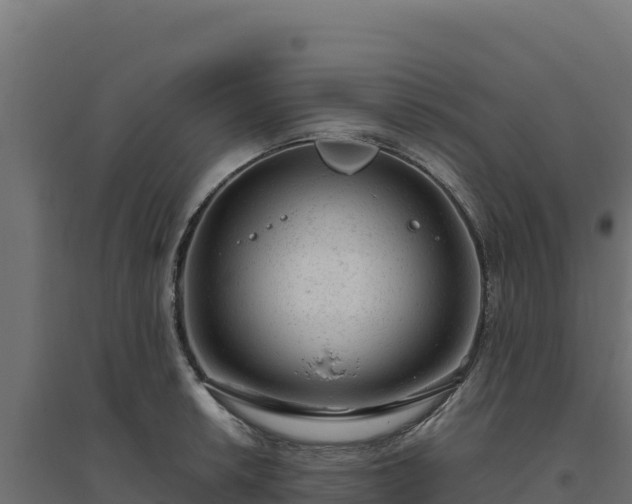 X0000094771042200711241312