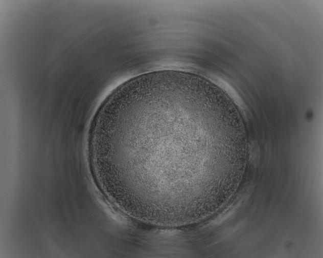 X0000094771043200711241312